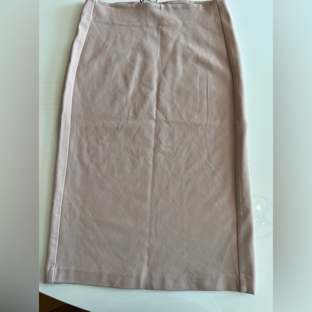 Tahari Light Blush Pencil Skirt
